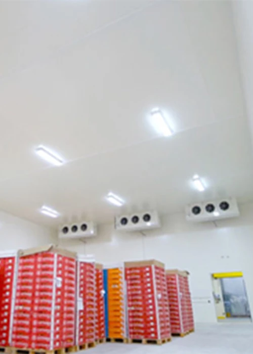 Croy Backer cold room - industrial refrigerated storage Riyadh Saudi Arabia